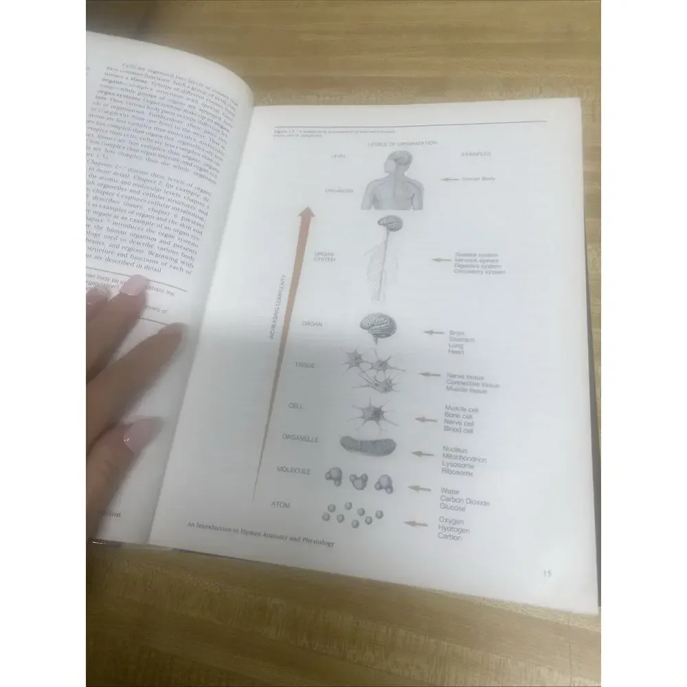 N/A human anatomy